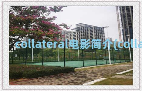 collateral电影简介(collateral 豆瓣)